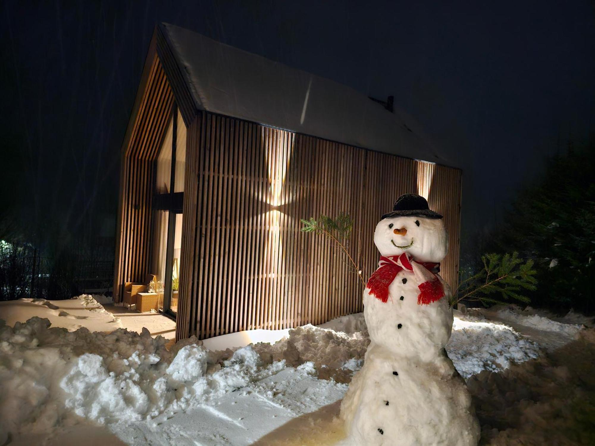Domki Pod Lasem - Domek Sosnowy Строне-Слёнске Экстерьер фото