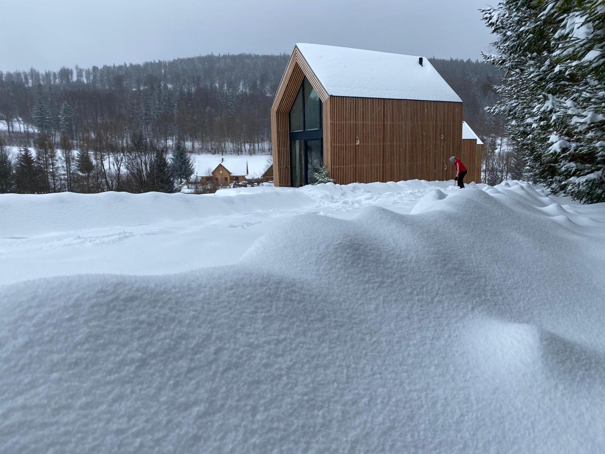 Domki Pod Lasem - Domek Sosnowy Строне-Слёнске Экстерьер фото