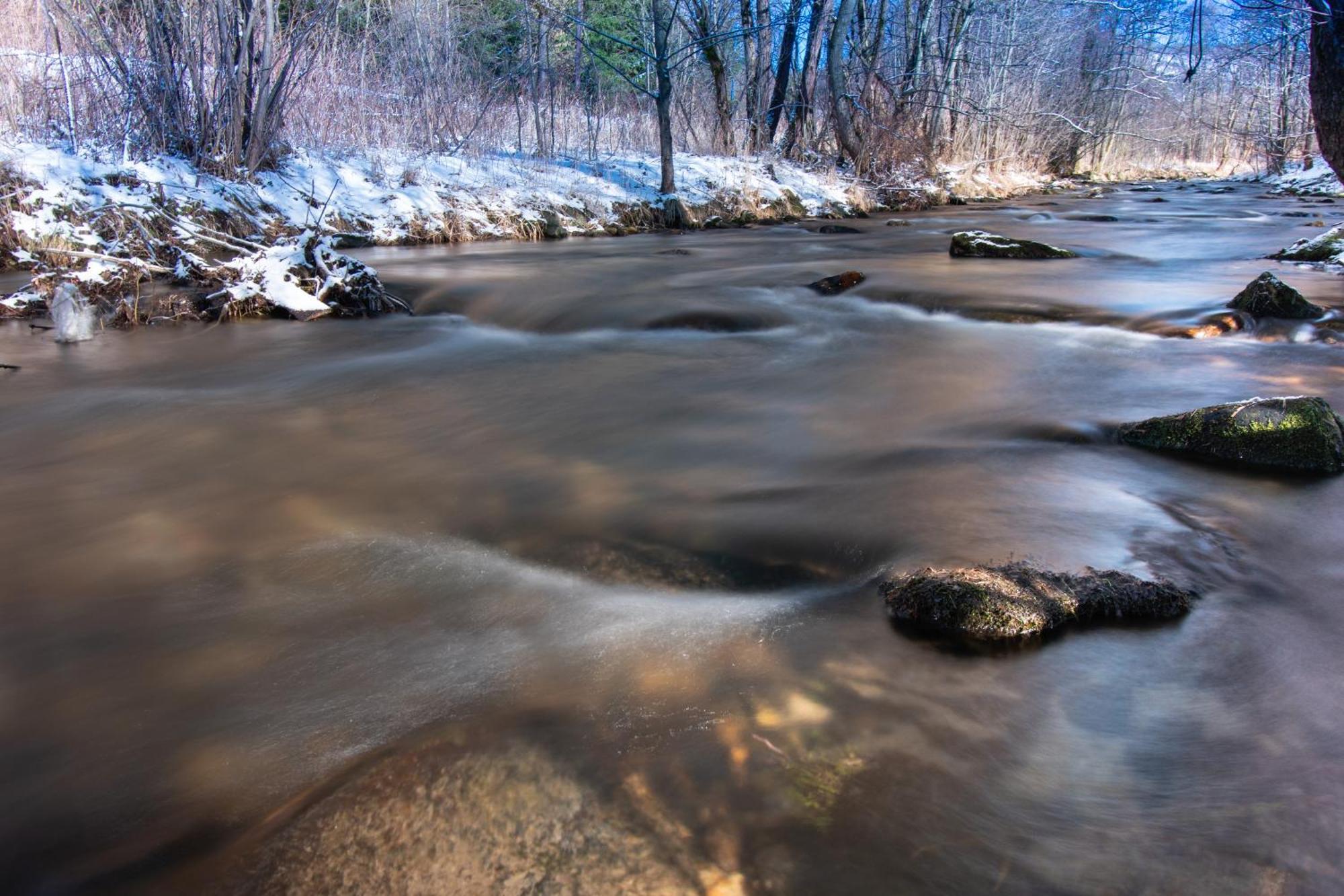 Domki Pod Lasem - Domek Sosnowy Строне-Слёнске Экстерьер фото